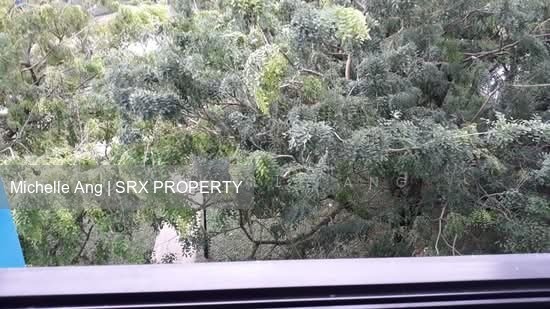 Blk 225A Compassvale Vista (Sengkang), HDB 4 Rooms #635569981